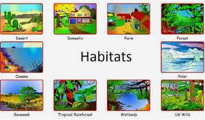 Components of Habitat