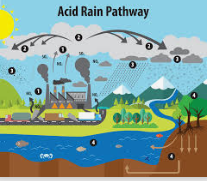 What is Acid Rain?
