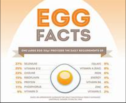 Egg Facts