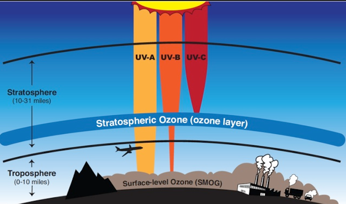 What is ozone layer?