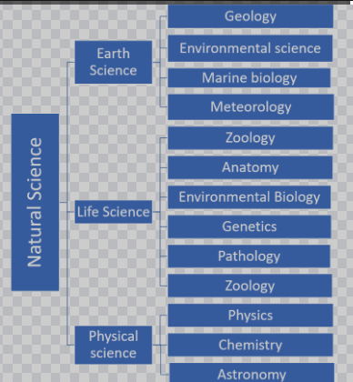 Branches of Environmental Sciences