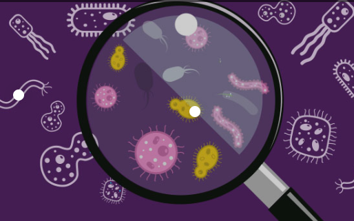 What is Microbiology and its Scope